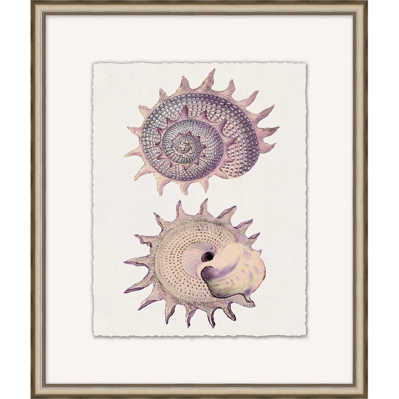 Mauve Shell Study 3 - Peinture encadrée sur papier