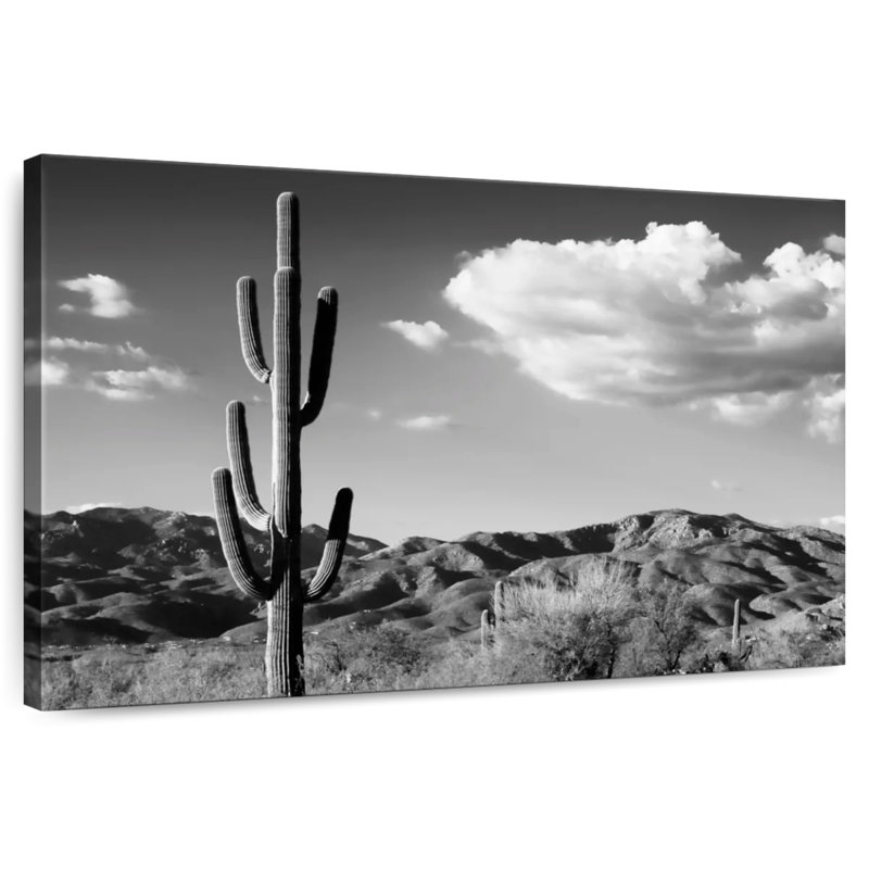 Harnek Saguaro Cactus Sunrise, 16" H x 24" W