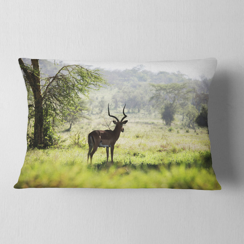 Coussin décoratif solitaire Antilope in Green Park, 12 po x 20 po, Rectangulaire
