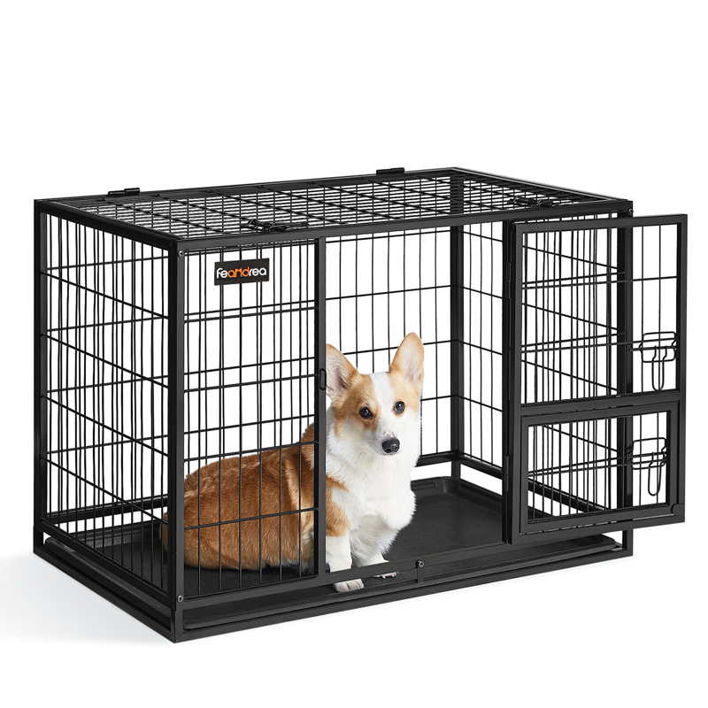 Caisse pour chien robuste avec plateau amovible, H 36,42 po x l 22,64 po x P 25,2 po