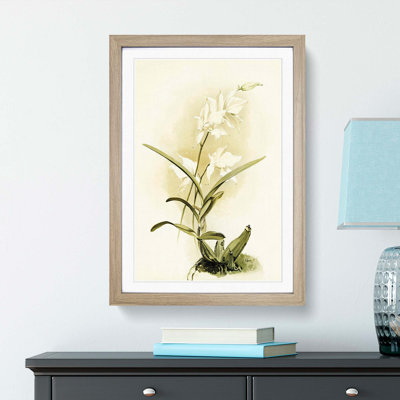 Magnolia Flowers Illustration Tab. 87 by Frederick Sander - Picture Frame Painting Print