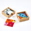 Fused Floral Coaster Set With Holder