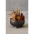 Fiori 24cm Faux Succulent in Ceramic Pot