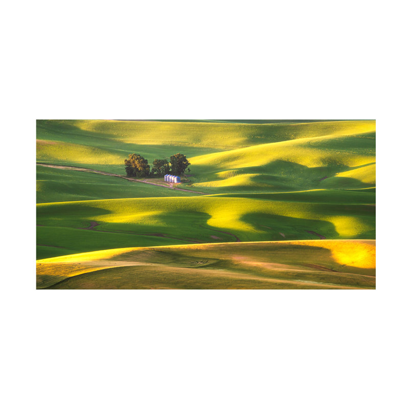 Aidong Ning  Sunshine Canvas Art, 24" H x 47" W