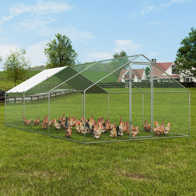 Fenndhy Chicken Coop with Chicken Run