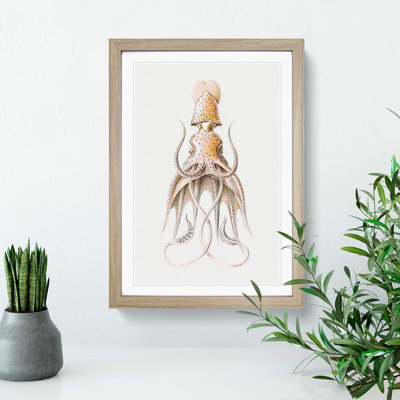 Vintage Squid Vol.2 by Ernst Haeckel - Picture Frame Painting