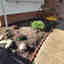 Photos des clients 1 de 2