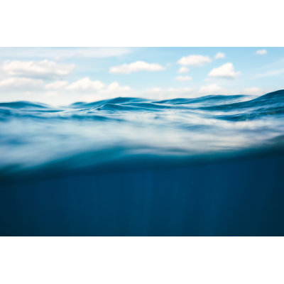 Vue sous l'eau par Borchee