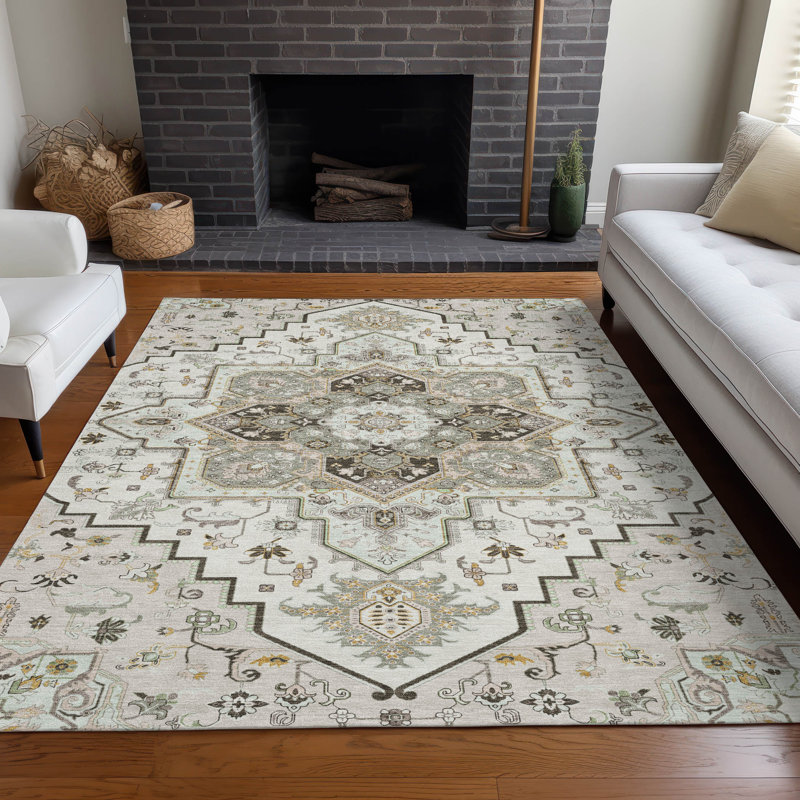 Machine Washable Indoor/Outdoor Chayden ACN1036 Rug, Rectangle 5' x 7'6"