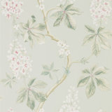 Chestnut Tree Wallpaper