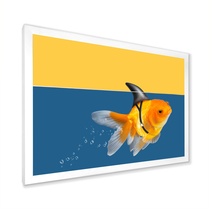" Goldfish Shark Swimming ", White Picture Frame, 16" H x 32" W x 1" D