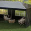 Bahattin 6 x 3 m Party Tent Gazebo with Windows and Side Panels-1408703251