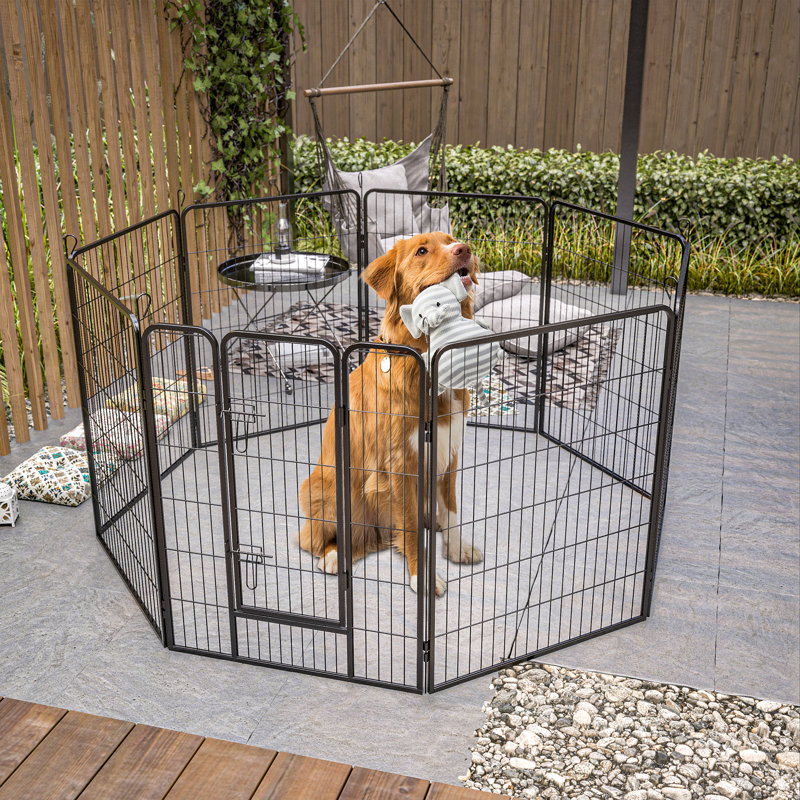 Cage pour chien avec cadre en fer forgé et ouvertures latérales, H 40 po x l 32 po x P 0,01 po