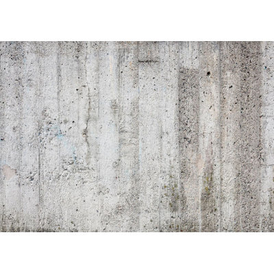 Peel & Stick Wall Mural - Grey Concrete Emperor