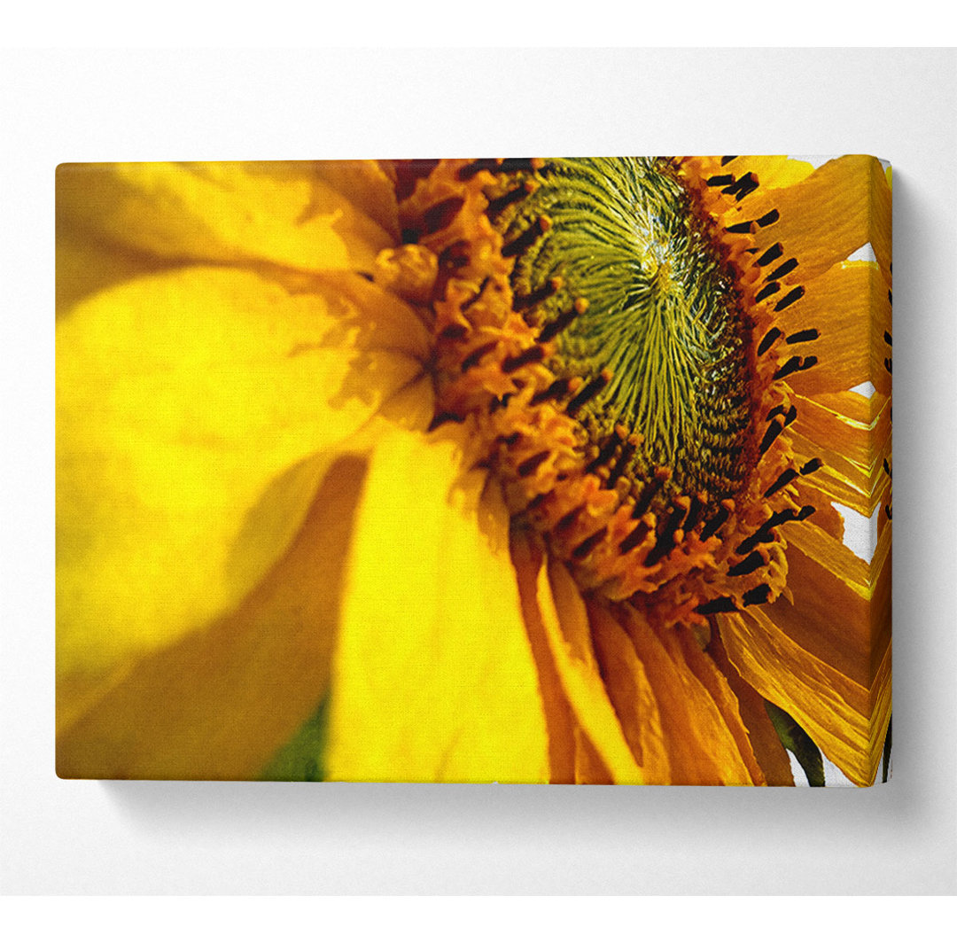 Sunflower Side - Kunstdrucke auf Segeltuch