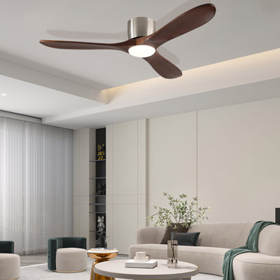 CEILING FANS LIGHT