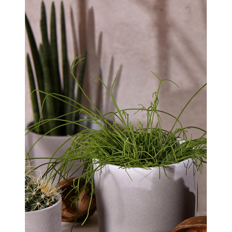  Leon Granite Effect Indoor Plant Pot, Cement, 24cm H x 28cm W x 28cm D
