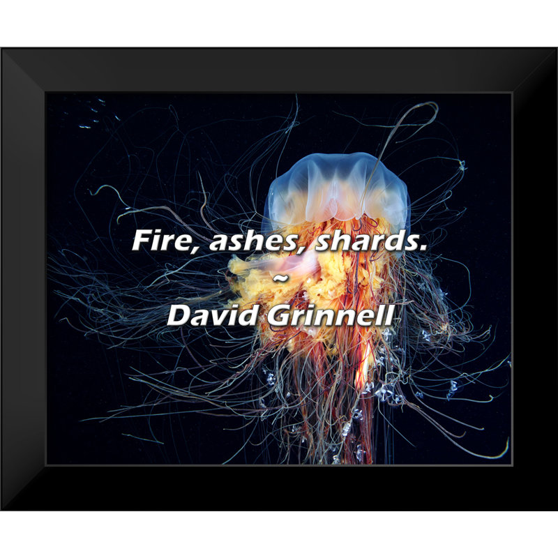 Citation de David Grinnell: Feu, cendres, éclats.