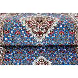 Wool Oriental Area Rug in Ivory