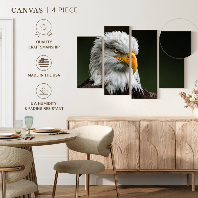 Brampt Bald Eagle Stare