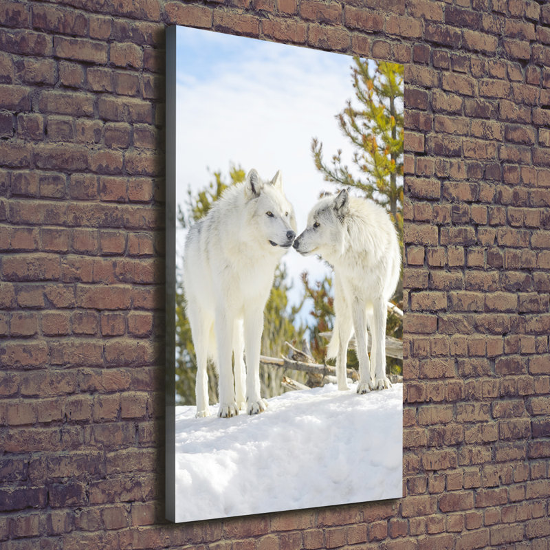 Two White Wolves - Wrapped Canvas Print