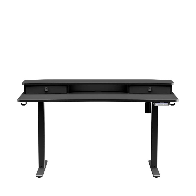 55'' W Large Electric Height Adjustable Standing Desk With Riser & 2 Drawers For Home Office, Black