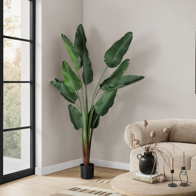 Intérieur, décoratif, plancher, palmier, véritable touche