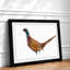 Pheasant Bird in Winter - Framed Print-56704609-56704611