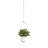 Hanging Planter-42319374