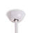 Ceiling Fan with LED Lights