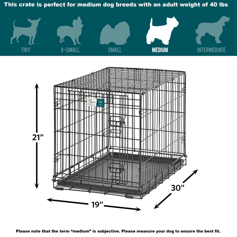 Cage pour chien MidWest Homes for Pet, Moyen (H 24 po x l 21 po x P 30 po)