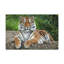 Art de tigre sibérien majestueux-133996460