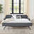 Twin Size Upholstery Daybed With Twin Size Erectable Trundle And USB Charging Design-47057890