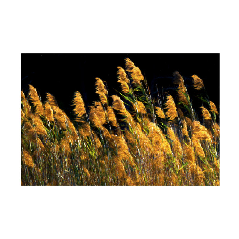 Golden Tall Grasses Landscape Canvas Print, 19" x 12"