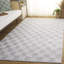 Tapis argent / ivoire Thanbir 979-1019393240