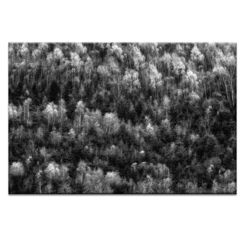 1 Piece Wrapped Canvas Wall Art, 152cm H x 102cm W