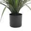 Yucca artificiel en pot-83242077-125320799