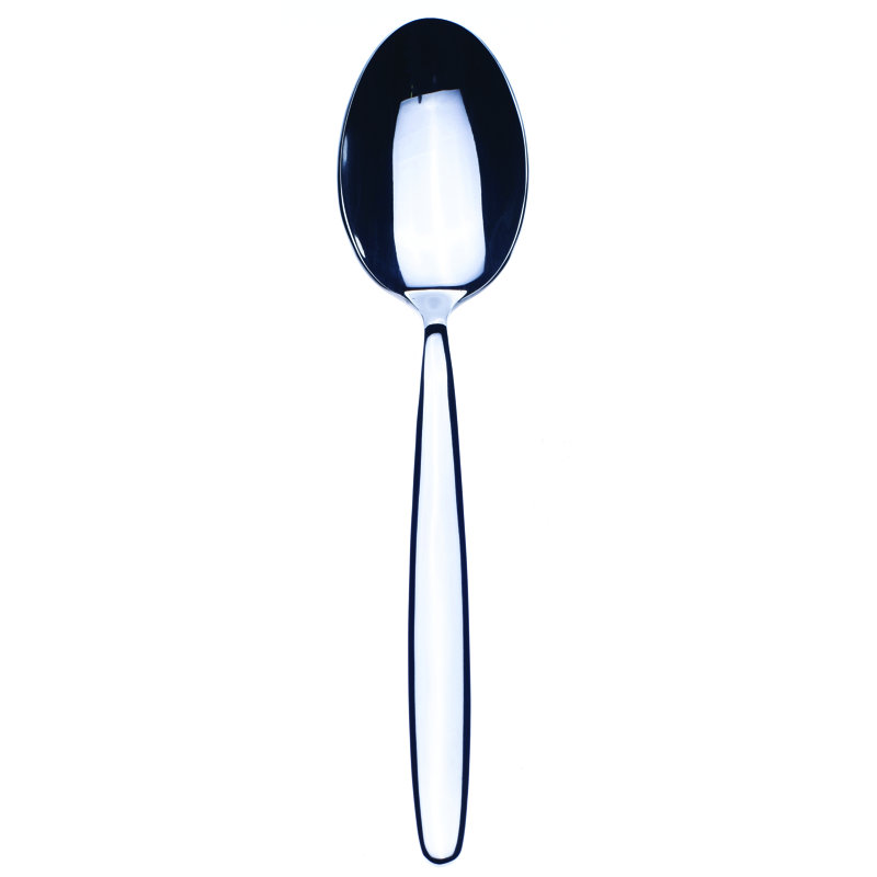 Immagina Stainless Steel Serving Spoon