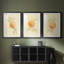 Dappled Oranges I - reproduction sur mesure encadrée de qualité supérieure - 3 pièces-724783940-724783946