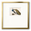 Peackock Plumagepremium, reproduction encadrée-88464330-106152479
