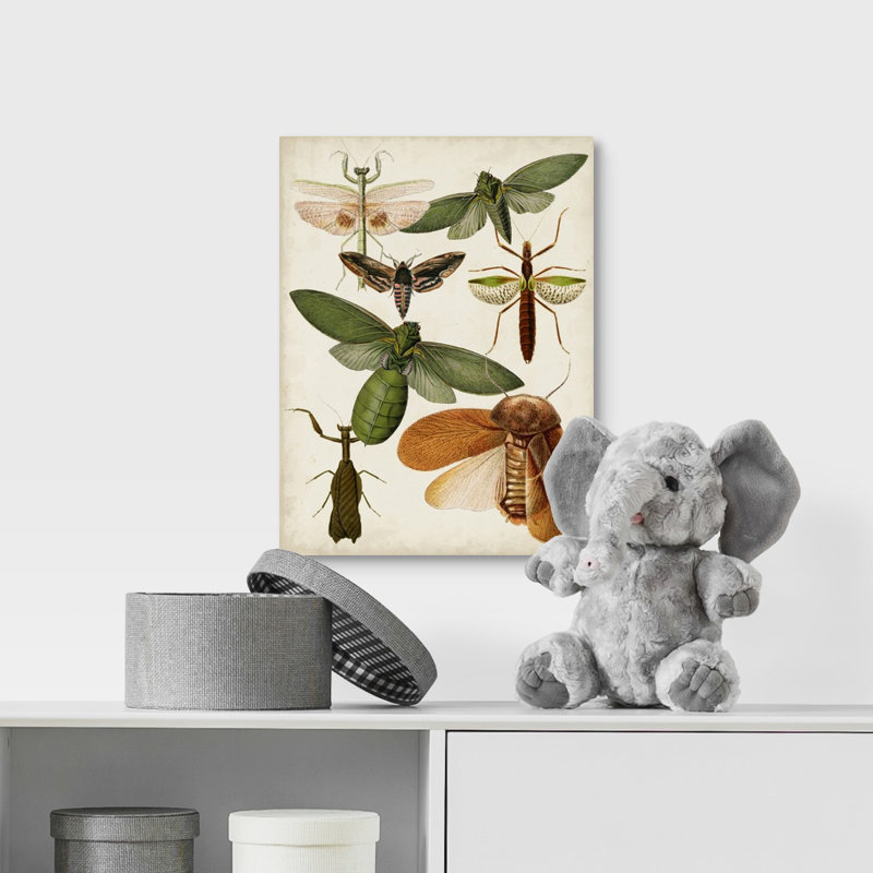 « flying bugs kids », art encadré, H 36 po x l 12 po x P 1,2 po, Toile tendue avec châssis