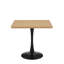 Table de salle à manger Mid Century