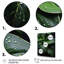 Raindrop Over Green Leafs - Floral & Botanical Canvas Prints-2025779529-2025779541
