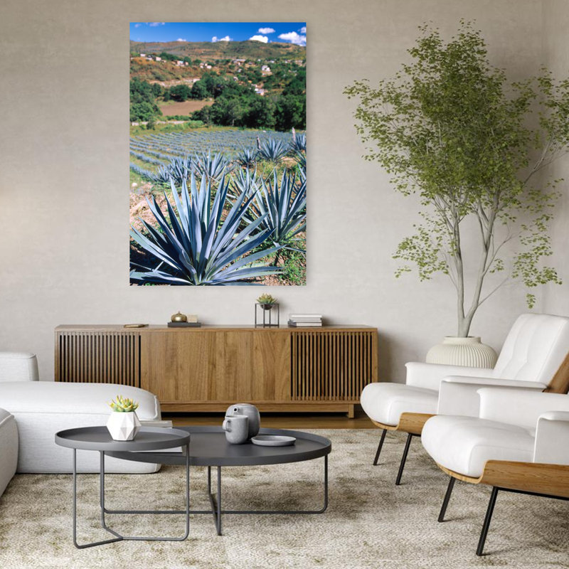 Téquila, agave, culture, Mexique, paysage contemporain contemporain, art, H 48 po x l 32 po