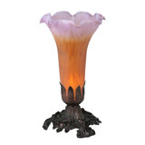 Meyda Tiffany & Stained Glass Table Lamp