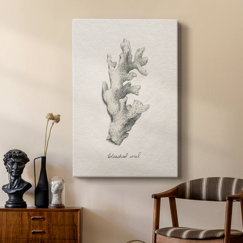 Shore Treasure Study II - galerie sur mesure, H 18 po x l 12 po