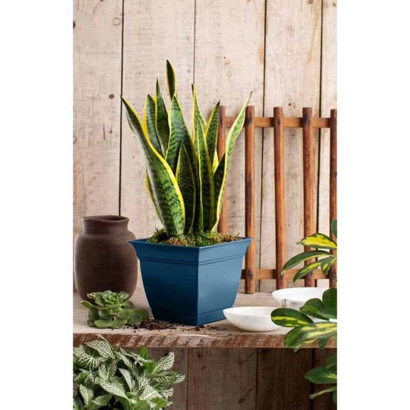 Pot à fleurs en plastique