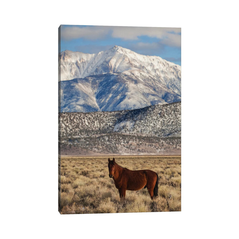 Usa, California. White Mountains And Wild Mustang In Adobe Valley. 1 Piece Wrapped Canvas Wall Art, 66.04 cm H x 45.72 cm W