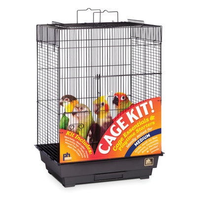 Breuer 23" Plastic Play Top Starter Bird Kit with Perch