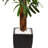 65'' Faux Palm Tree in Stone Planter